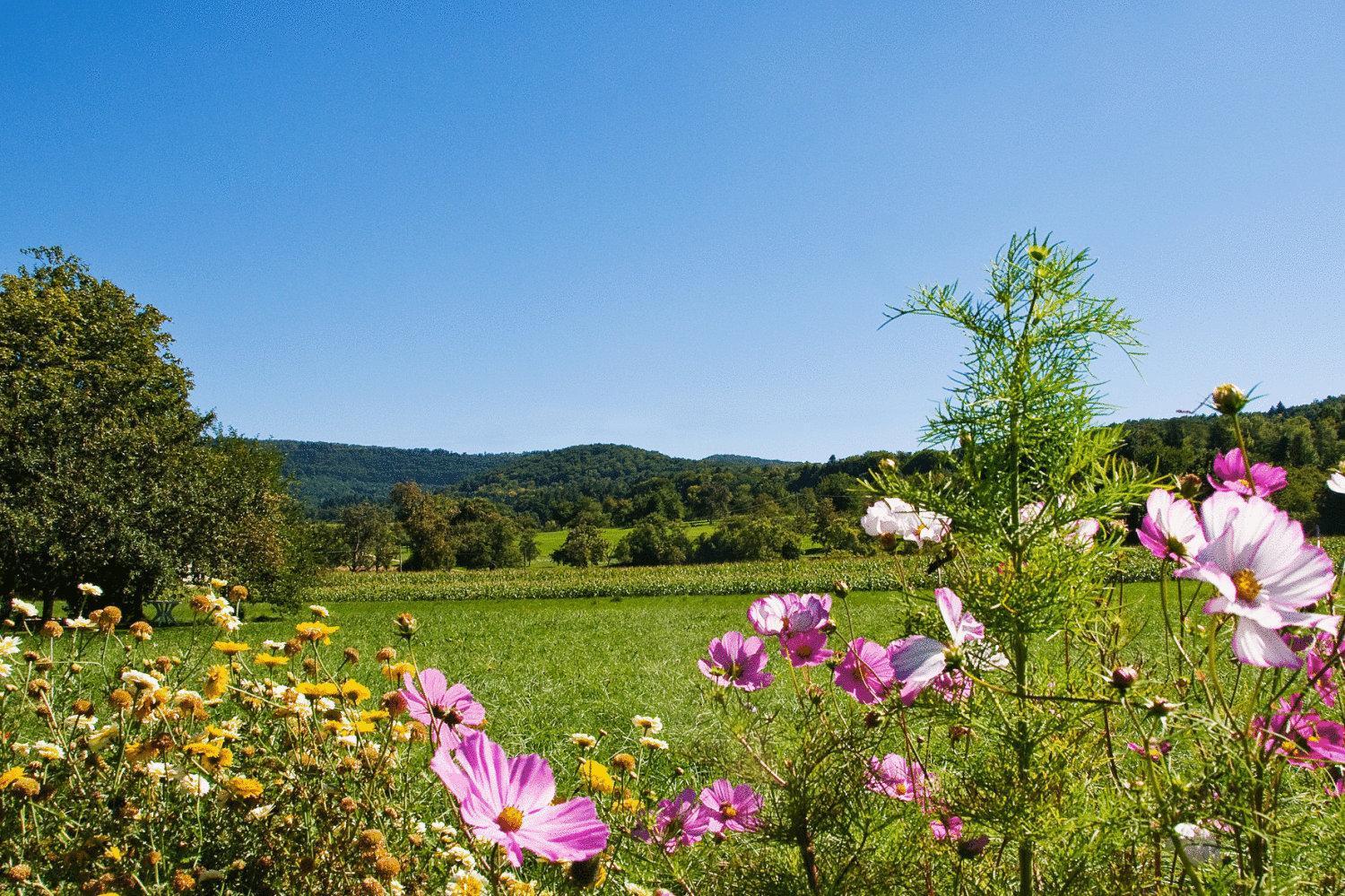 Auberge Et Hostellerie Paysanne Lutter ภายนอก รูปภาพ